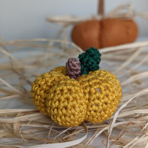 il_fullxfull.4118991908_6ju7