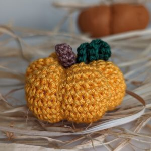 il_fullxfull.4166657589_btwc