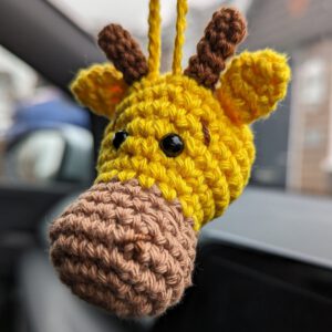 il_fullxfull.4621514657_i2t9