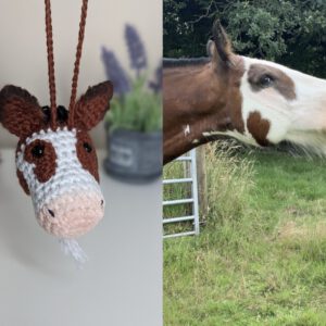 il_fullxfull.5068162882_cxyq