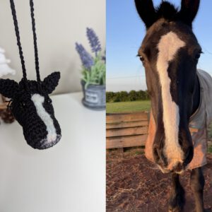 il_fullxfull.5116392013_hojt