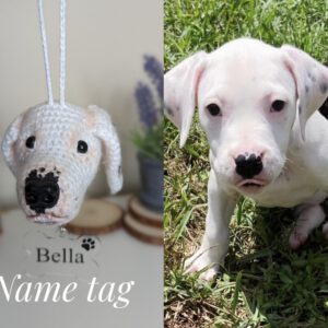 il_fullxfull.5119689134_p6nf