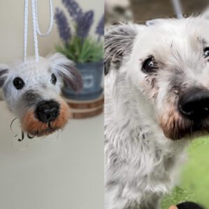 il_fullxfull.5119692984_eo78